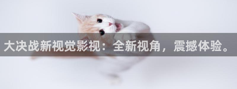 星海之外定档海报