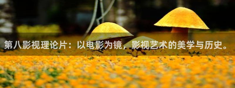 星海之外定档海报