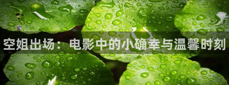 星海之外定档海报