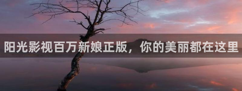星海之外定档海报