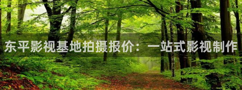 星海之外定档海报