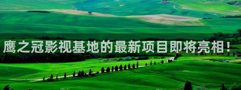 星海之外定档海报