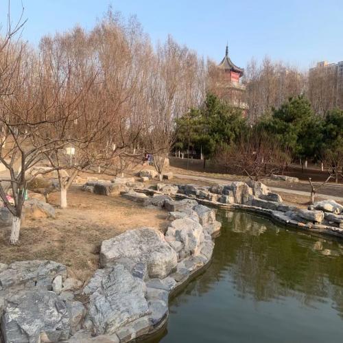 园林景石驳岸