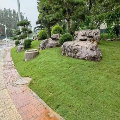 园林置石点景