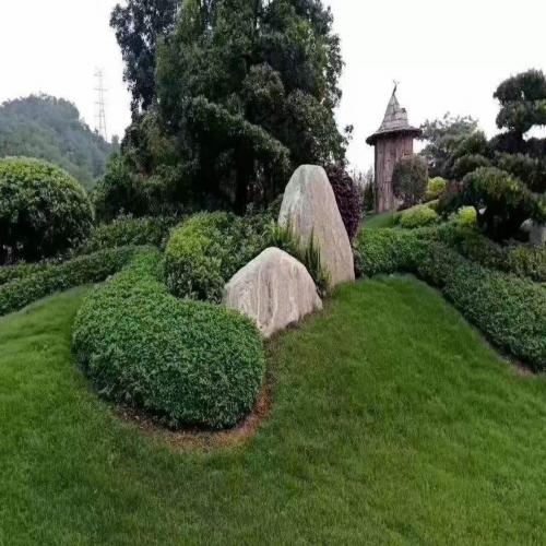 园林置石点景